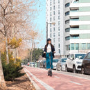 Bongo Serie D20 Elektrische Scooters